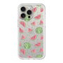 Premium Panel［ Crayon Watermelon ］