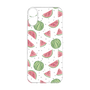 Premium Panel［ Crayon Watermelon ］