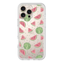 Premium Panel［ Crayon Watermelon ］