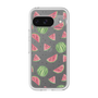 Premium Panel［ Crayon Watermelon ］