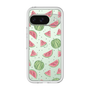Premium Panel［ Crayon Watermelon ］