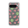 Premium Panel［ Crayon Watermelon ］