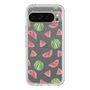 Premium Panel［ Crayon Watermelon ］