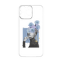 Premium Panel［ mystery. ］