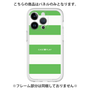 Premium Panel［ Big Border - Green ］
