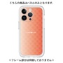 Premium Panel［ CASEPLAY Check - Orange ］