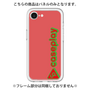 Premium Panel［ Original - CASEPLAY Logotype - Red ］