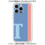 Premium Panel［ Original - initial color line - T blue ］