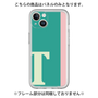 Premium Panel［ Original - initial color line - T green ］