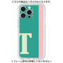 Premium Panel［ Original - initial color line - T green ］