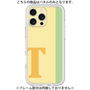 Premium Panel［ Original - initial color line - T yellow ］