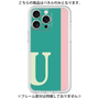Premium Panel［ Original - initial color line - U green ］