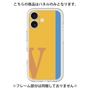 Premium Panel［ Original - initial color line - V orange ］