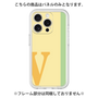 Premium Panel［ Original - initial color line - V yellow ］