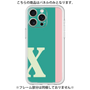 Premium Panel［ Original - initial color line - X green ］