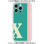 Premium Panel［ Original - initial color line - X green ］