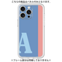 Premium Panel［ Original - initial color line - A blue ］