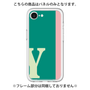 Premium Panel［ Original - initial color line - Y green ］