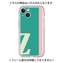 Premium Panel［ Original - initial color line - Z green ］
