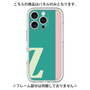 Premium Panel［ Original - initial color line - Z green ］