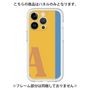Premium Panel［ Original - initial color line - A orange ］