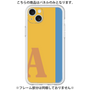 Premium Panel［ Original - initial color line - A orange ］