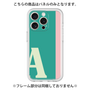 Premium Panel［ Original - initial color line - A green ］