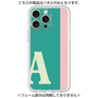 Premium Panel［ Original - initial color line - A green ］