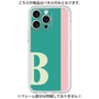 Premium Panel［ Original - initial color line - B green ］
