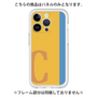 Premium Panel［ Original - initial color line - C orange ］