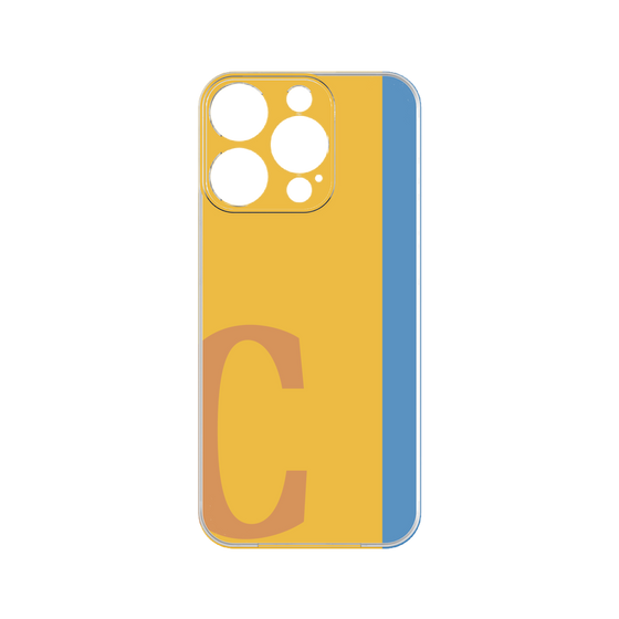 Premium Panel［ Original - initial color line - C orange ］
