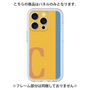 Premium Panel［ Original - initial color line - C orange ］