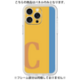 Premium Panel［ Original - initial color line - C orange ］