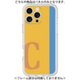 Premium Panel［ Original - initial color line - C orange ］