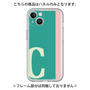 Premium Panel［ Original - initial color line - C green ］