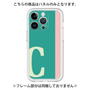 Premium Panel［ Original - initial color line - C green ］