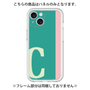 Premium Panel［ Original - initial color line - C green ］