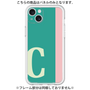 Premium Panel［ Original - initial color line - C green ］