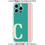 Premium Panel［ Original - initial color line - C green ］