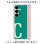 Premium Panel［ Original - initial color line - C green ］