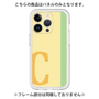 Premium Panel［ Original - initial color line - C yellow ］