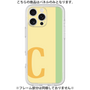Premium Panel［ Original - initial color line - C yellow ］