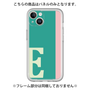 Premium Panel［ Original - initial color line - E green ］
