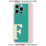 Premium Panel［ Original - initial color line - F green ］