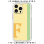 Premium Panel［ Original - initial color line - F yellow ］
