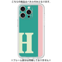 Premium Panel［ Original - initial color line - H green ］