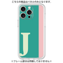 Premium Panel［ Original - initial color line - J green ］