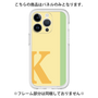 Premium Panel［ Original - initial color line - K yellow ］