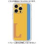 Premium Panel［ Original - initial color line - L orange ］