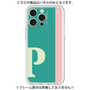 Premium Panel［ Original - initial color line - P green ］
